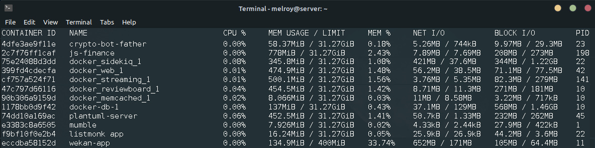 Docker stats terminal output